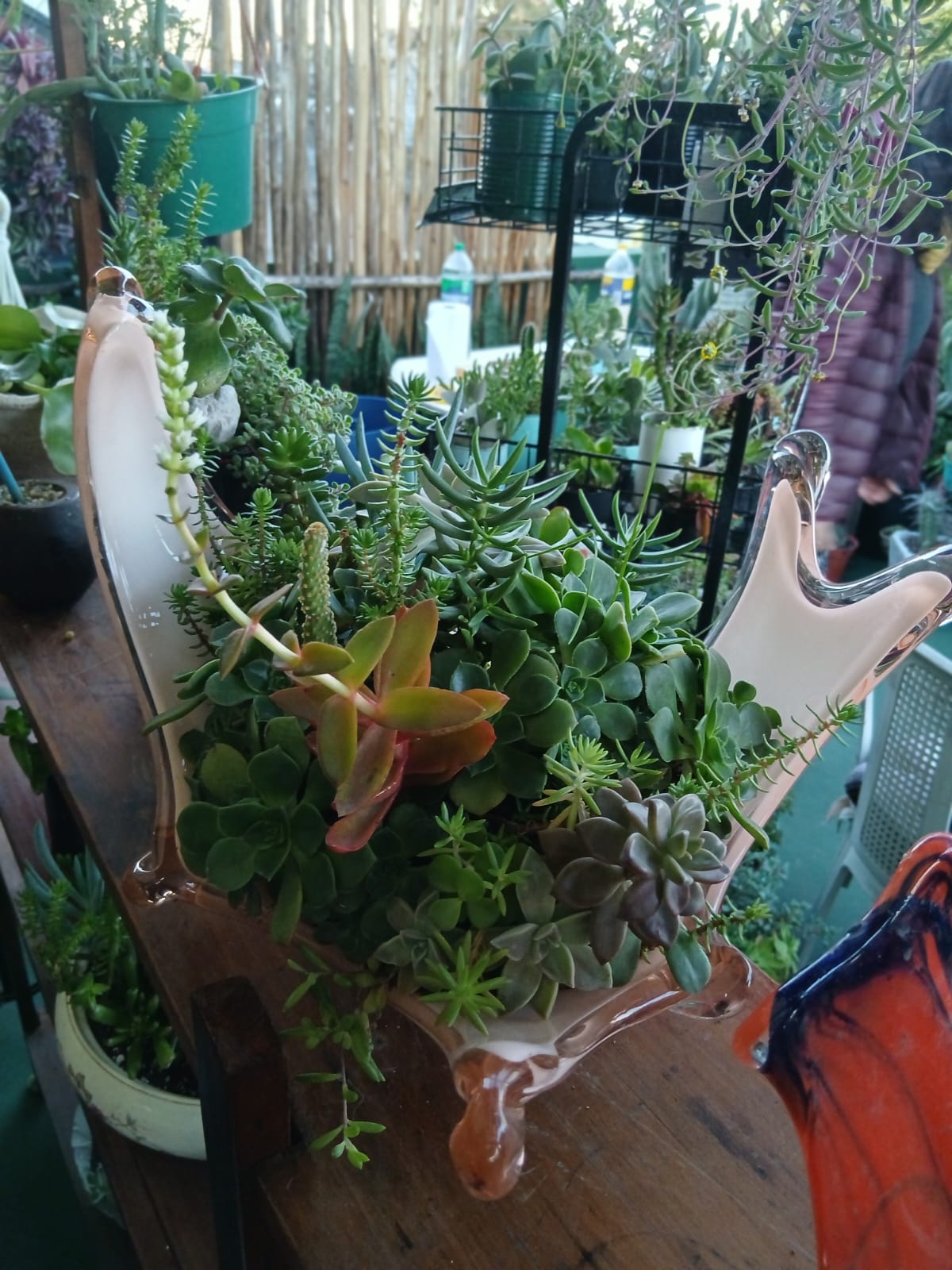 Mistura de Jardín